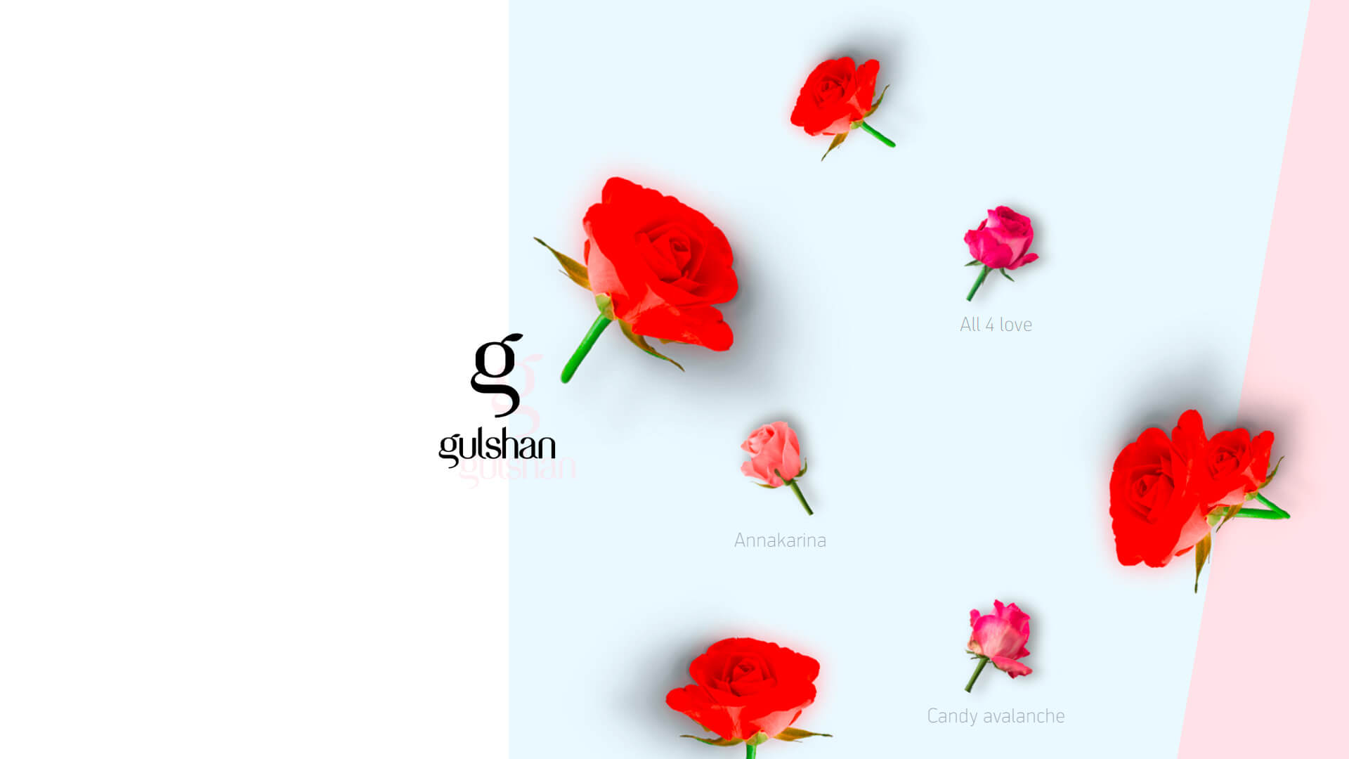 Портфолио ALEX ITS