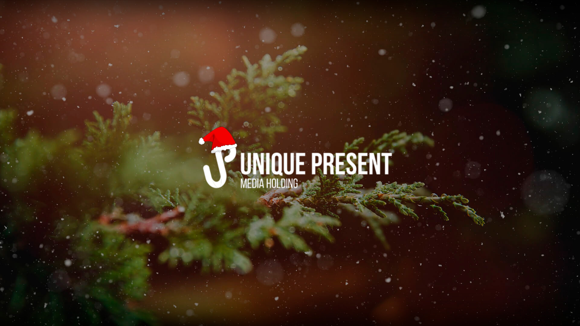 Портфолио ALEX ITS