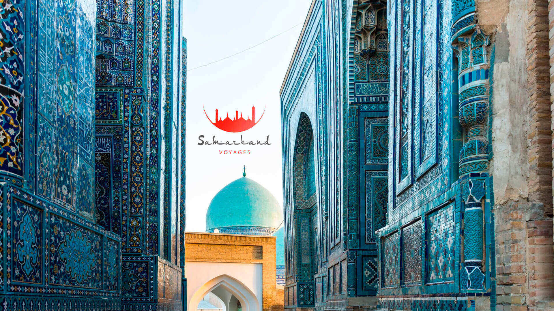 Портфолио ALEX ITS