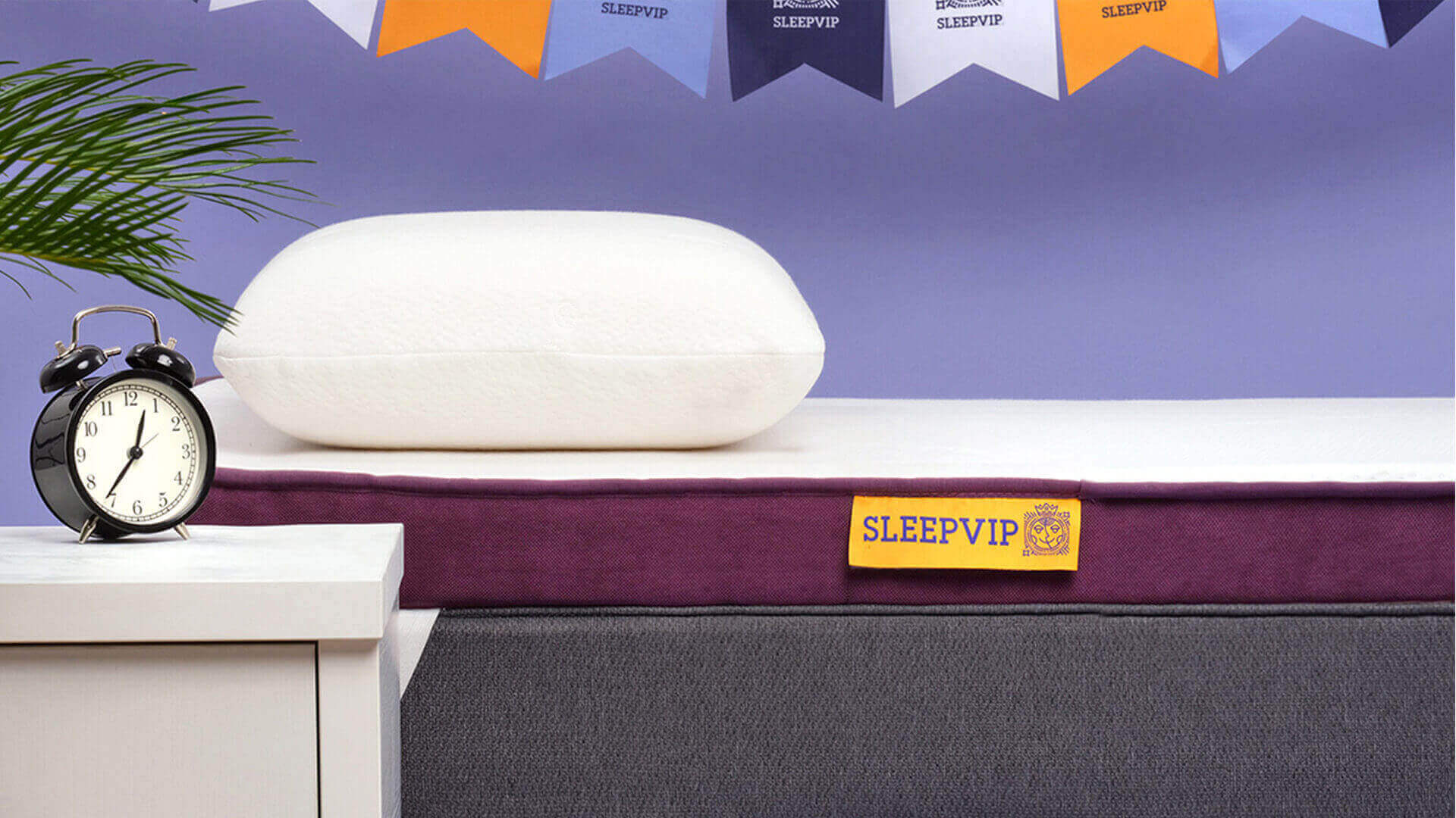 Портфолио ALEX ITS